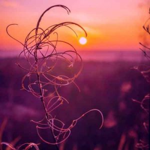 دانلود اهنگ ای لشکر صاحب زمان آماده باش